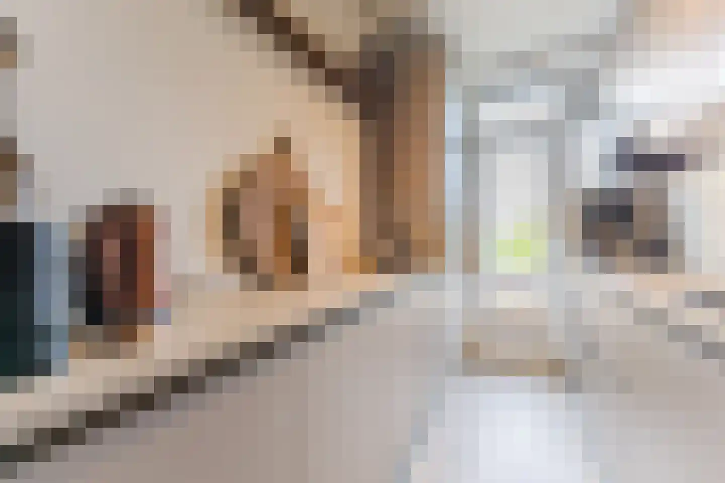 Laan van Meerdervoort 1209 Den Haag thumbnail 19
