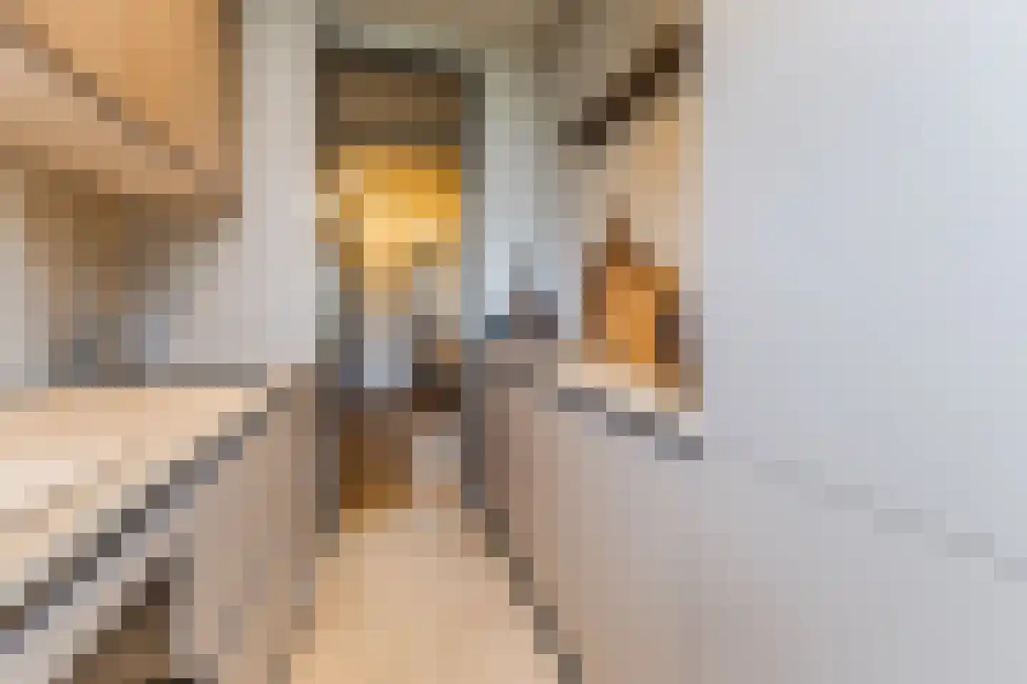 Laan van Meerdervoort 1209 Den Haag thumbnail 20