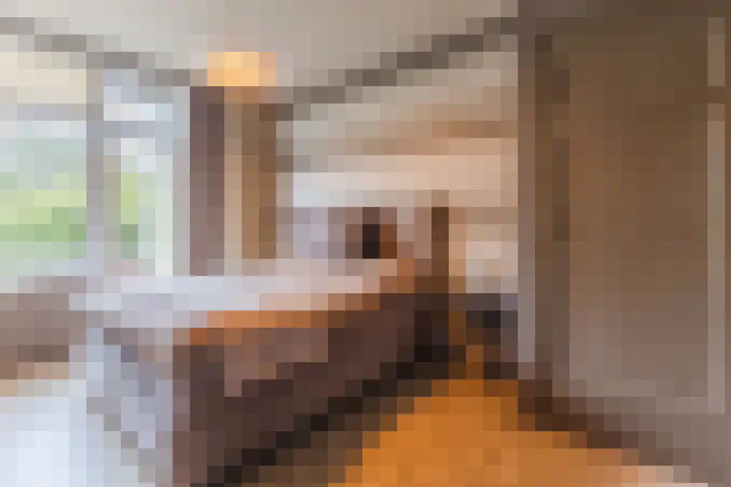 Laan van Meerdervoort 1209 Den Haag thumbnail 22