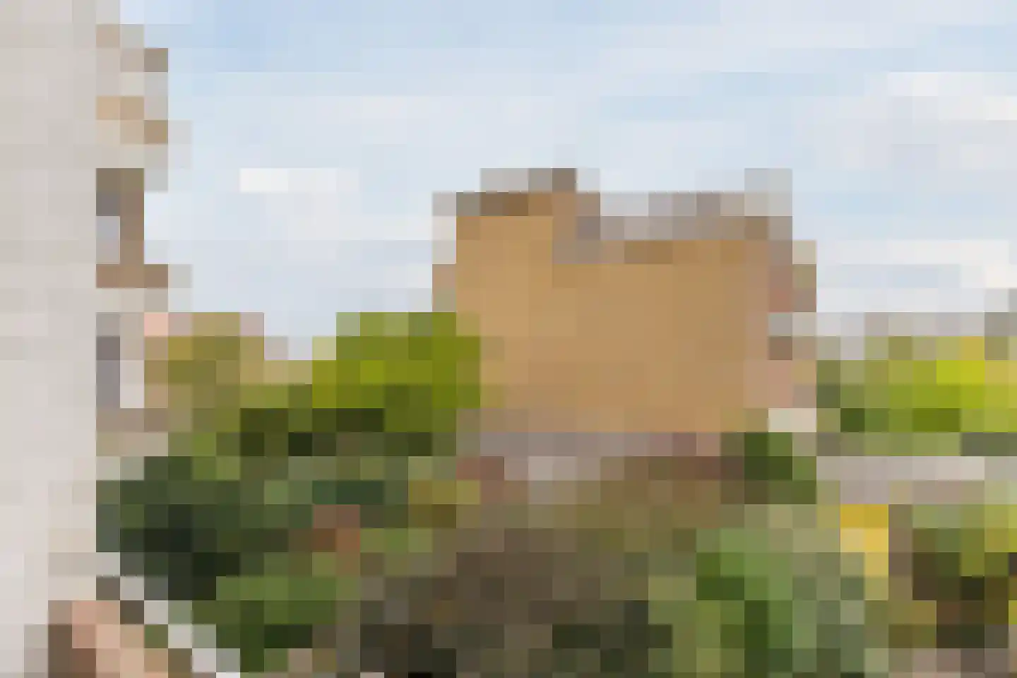Laan van Meerdervoort 1209 Den Haag thumbnail 29