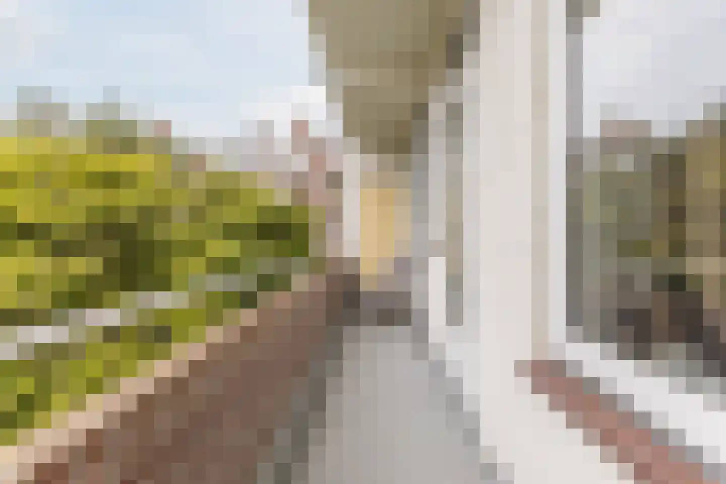 Laan van Meerdervoort 1209 Den Haag thumbnail 30