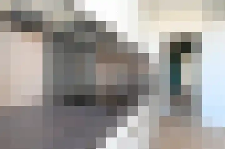 Laan van Meerdervoort 1213 Den Haag thumbnail 21