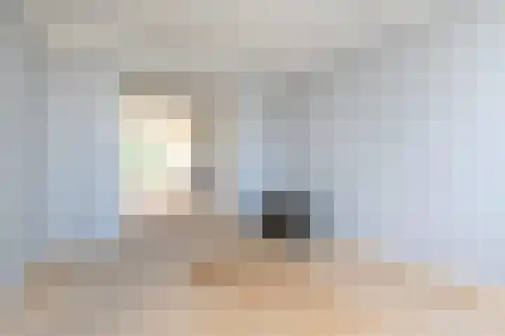 Laan van Meerdervoort 1213 Den Haag thumbnail 22