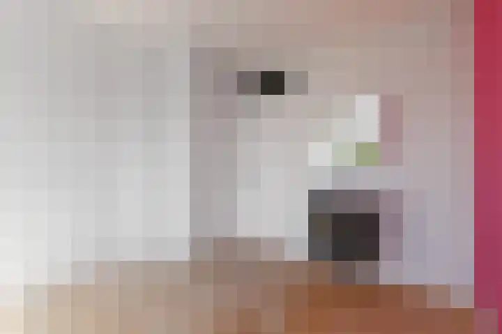 Laan van Meerdervoort 1213 Den Haag thumbnail 26