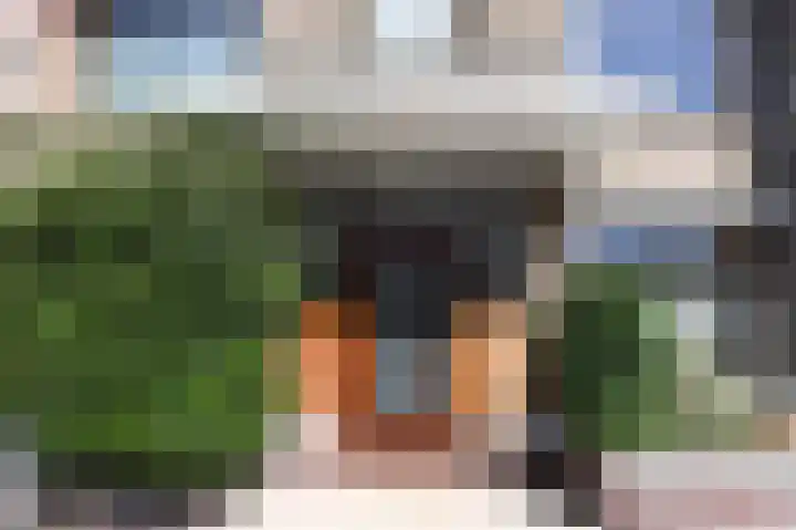 Laan van Meerdervoort 1213 Den Haag thumbnail 8