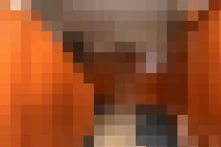 Laan van Meerdervoort 1213 Den Haag thumbnail 9
