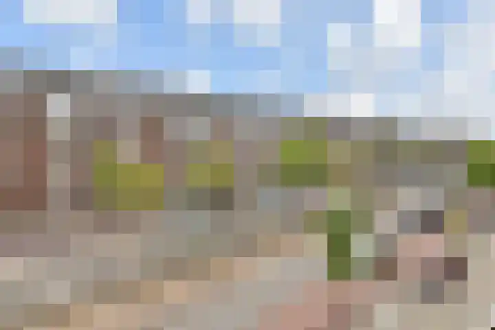 Laan van Meerdervoort 1235 Den Haag thumbnail 10