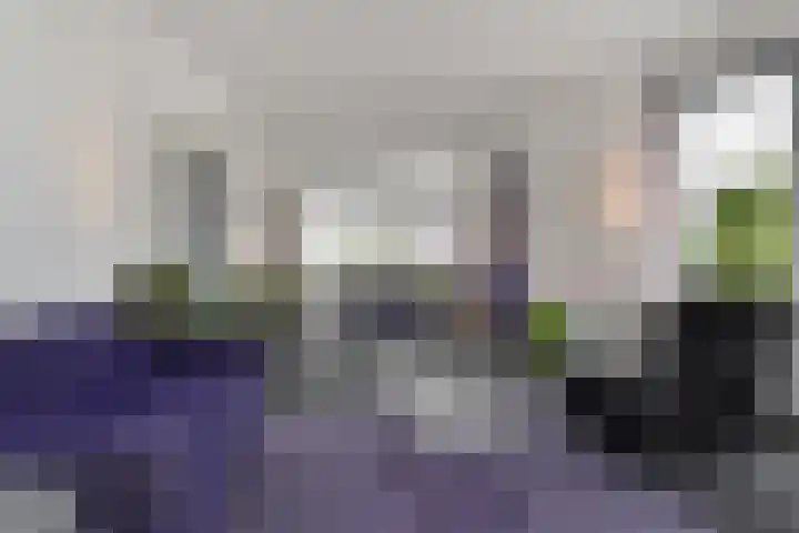 Laan van Meerdervoort 1235 Den Haag thumbnail 11