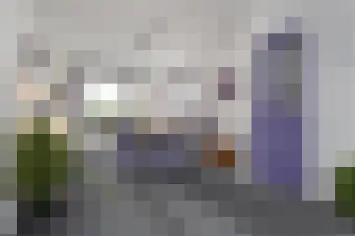 Laan van Meerdervoort 1235 Den Haag thumbnail 12