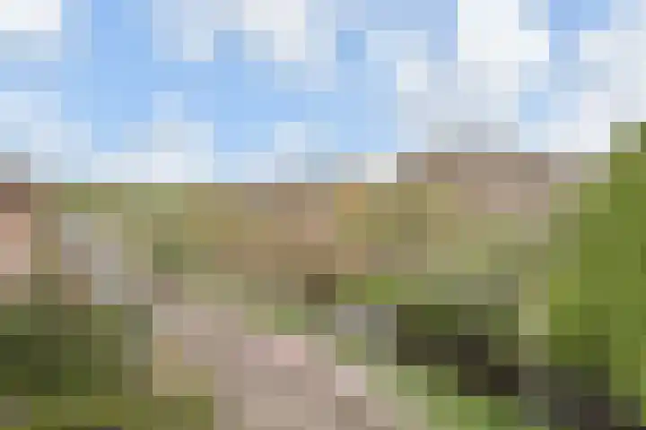 Laan van Meerdervoort 1235 Den Haag thumbnail 16