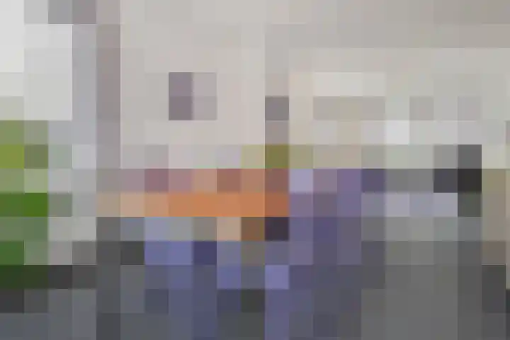 Laan van Meerdervoort 1235 Den Haag thumbnail 18