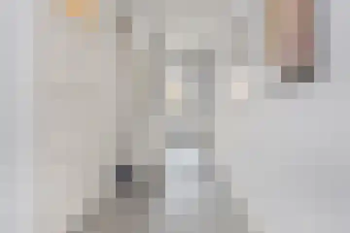 Laan van Meerdervoort 1235 Den Haag thumbnail 19