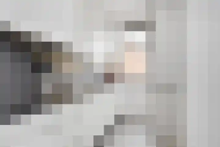 Laan van Meerdervoort 1235 Den Haag thumbnail 20