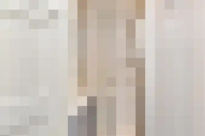 Laan van Meerdervoort 1235 Den Haag thumbnail 24