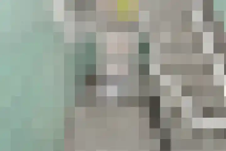 Laan van Meerdervoort 1235 Den Haag thumbnail 29