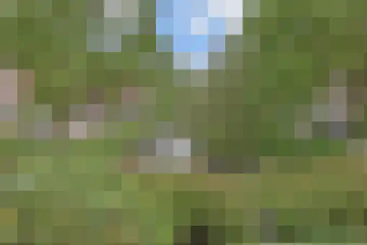 Laan van Meerdervoort 1235 Den Haag thumbnail 31