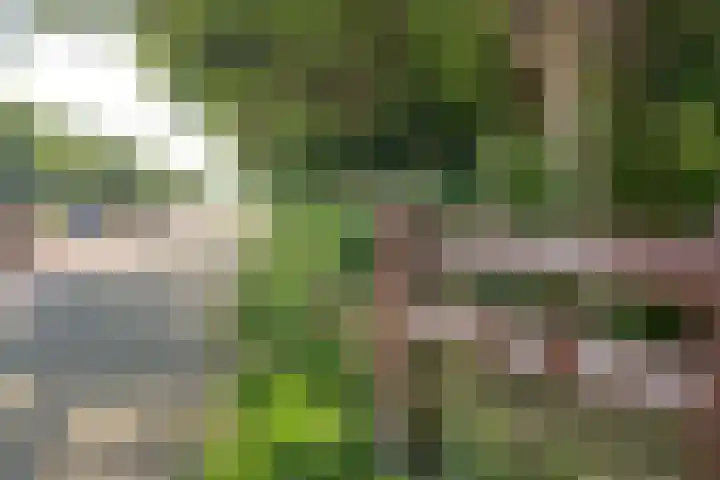 Laan van Meerdervoort 1235 Den Haag thumbnail 33