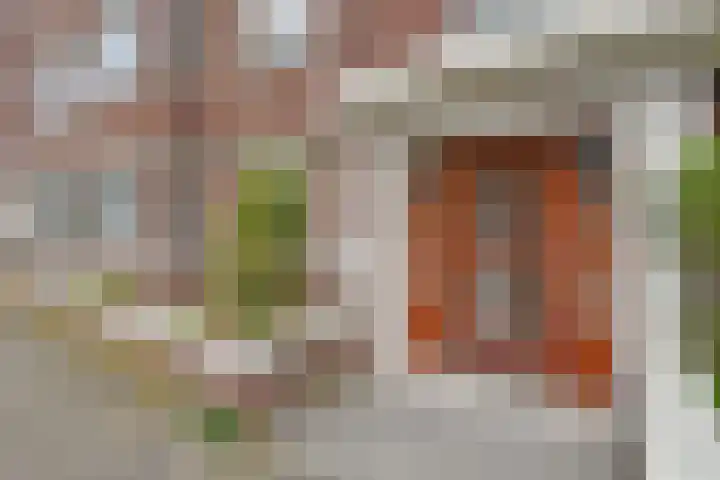 Laan van Meerdervoort 1235 Den Haag thumbnail 6