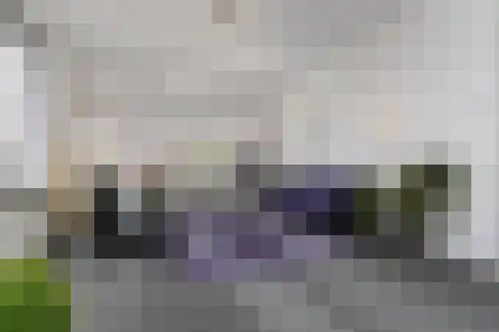 Laan van Meerdervoort 1235 Den Haag thumbnail 8