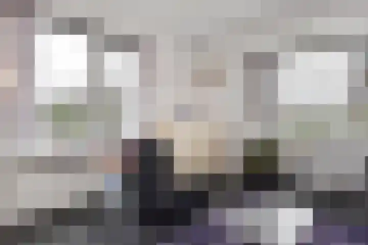 Laan van Meerdervoort 1235 Den Haag thumbnail 9
