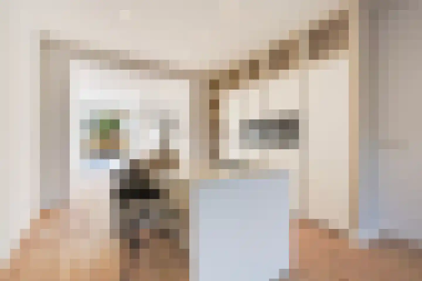 Laan van Meerdervoort 1262 Den Haag thumbnail 13