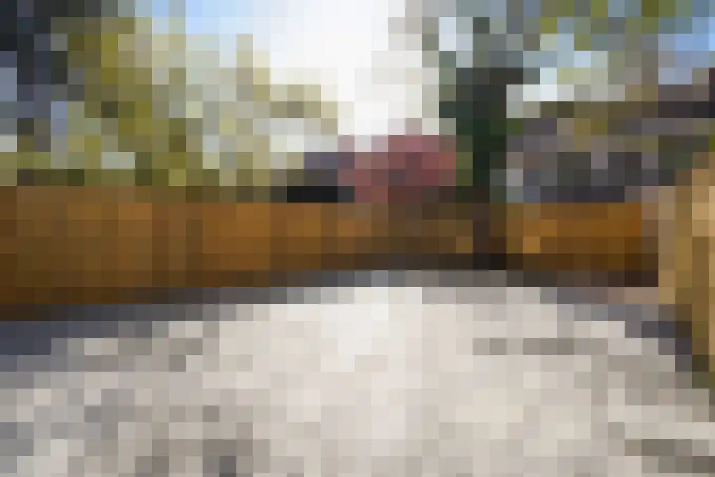 Laan van Meerdervoort 1262 Den Haag thumbnail 16