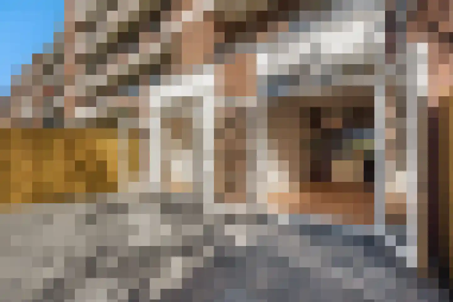 Laan van Meerdervoort 1262 Den Haag thumbnail 19