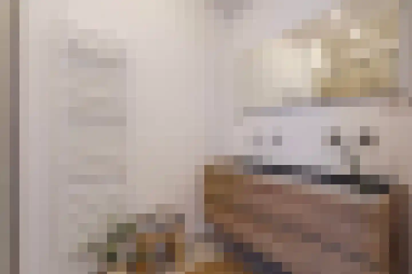 Laan van Meerdervoort 1262 Den Haag thumbnail 28