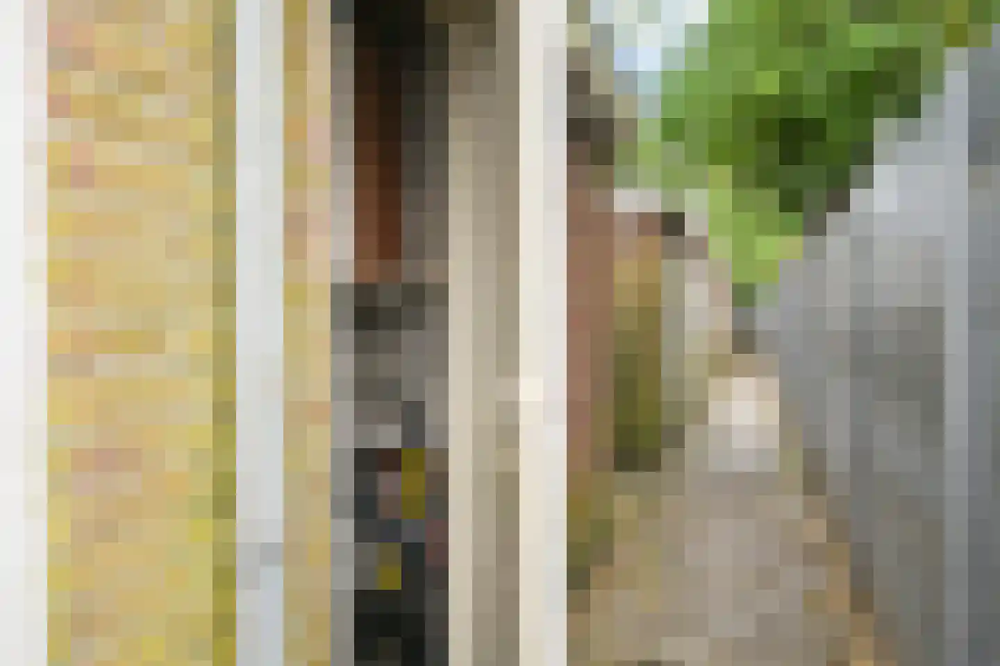 Laan van Meerdervoort 1273 Den Haag thumbnail 28