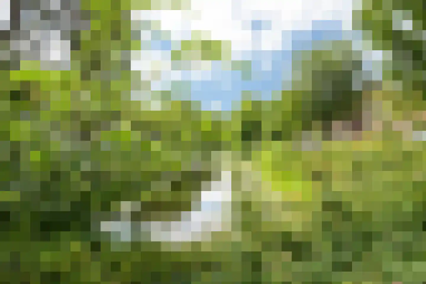 Laan van Meerdervoort 1273 Den Haag thumbnail 30