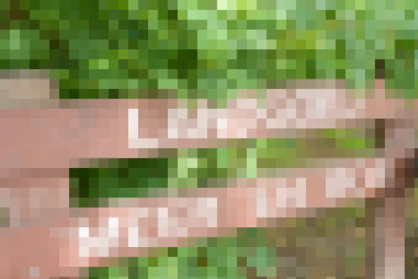 Laan van Meerdervoort 1273 Den Haag thumbnail 31