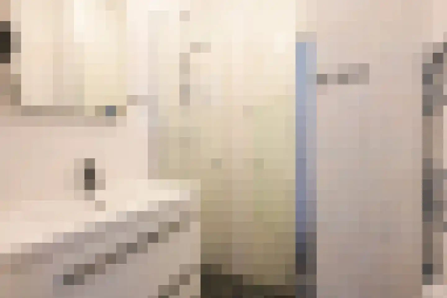 Laan van Meerdervoort 1273 Den Haag thumbnail 7