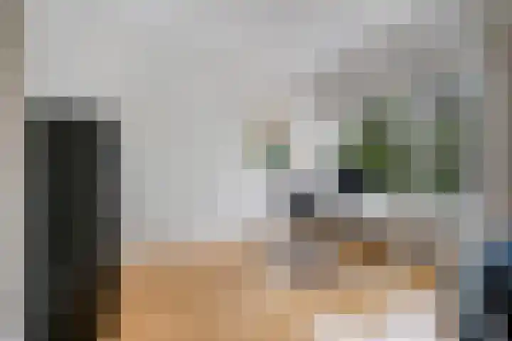 Laan van Meerdervoort 1286 Den Haag thumbnail 11
