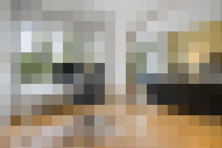 Laan van Meerdervoort 1286 Den Haag thumbnail 12