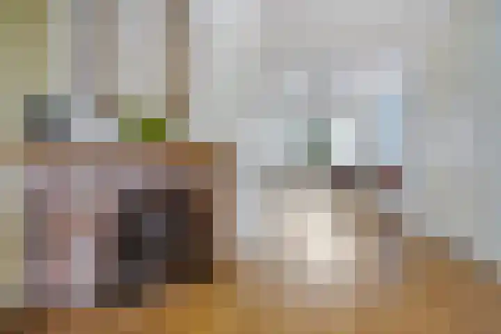 Laan van Meerdervoort 1286 Den Haag thumbnail 14