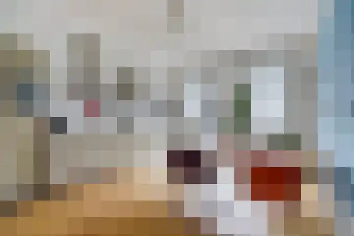 Laan van Meerdervoort 1286 Den Haag thumbnail 15