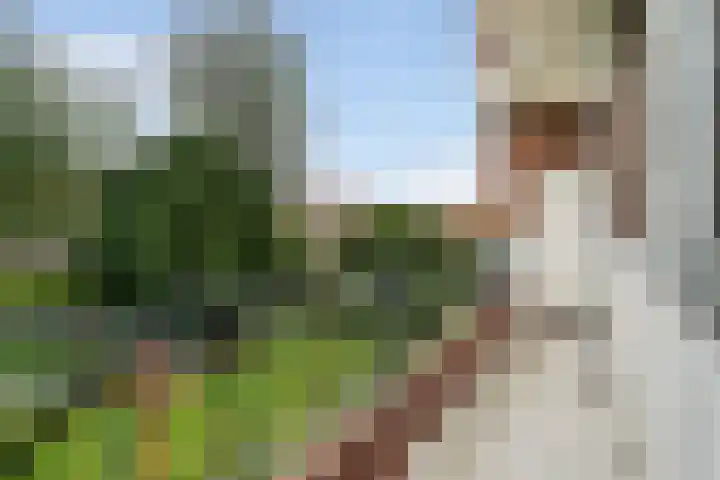 Laan van Meerdervoort 1286 Den Haag thumbnail 16