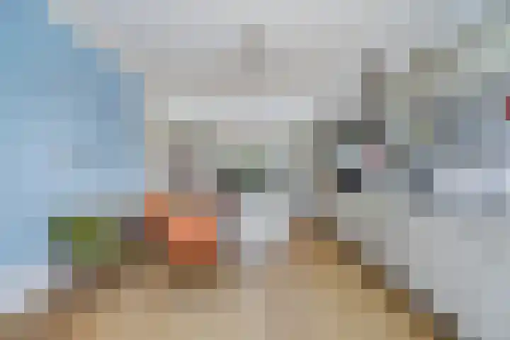 Laan van Meerdervoort 1286 Den Haag thumbnail 17