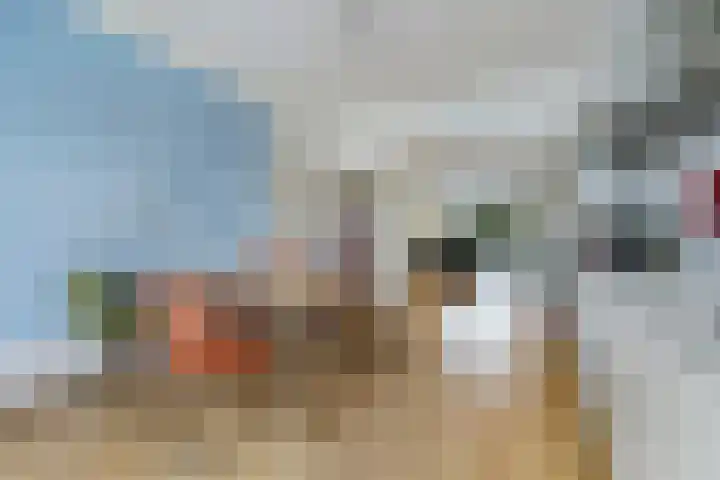 Laan van Meerdervoort 1286 Den Haag thumbnail 18