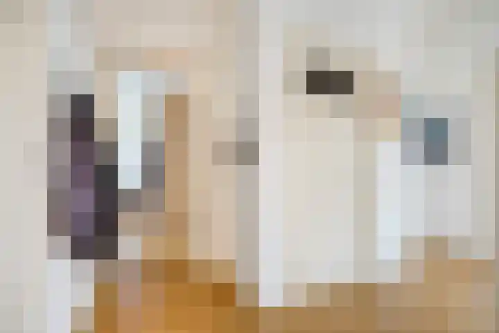 Laan van Meerdervoort 1286 Den Haag thumbnail 19
