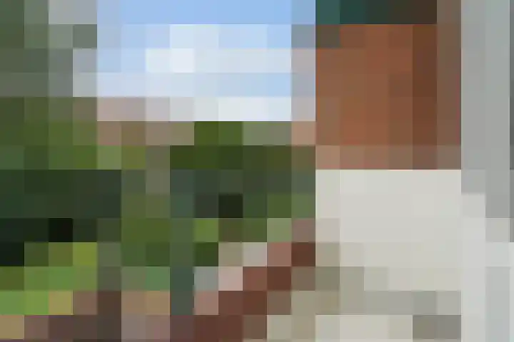 Laan van Meerdervoort 1286 Den Haag thumbnail 21