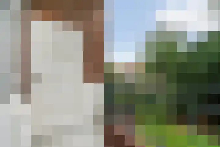 Laan van Meerdervoort 1286 Den Haag thumbnail 22