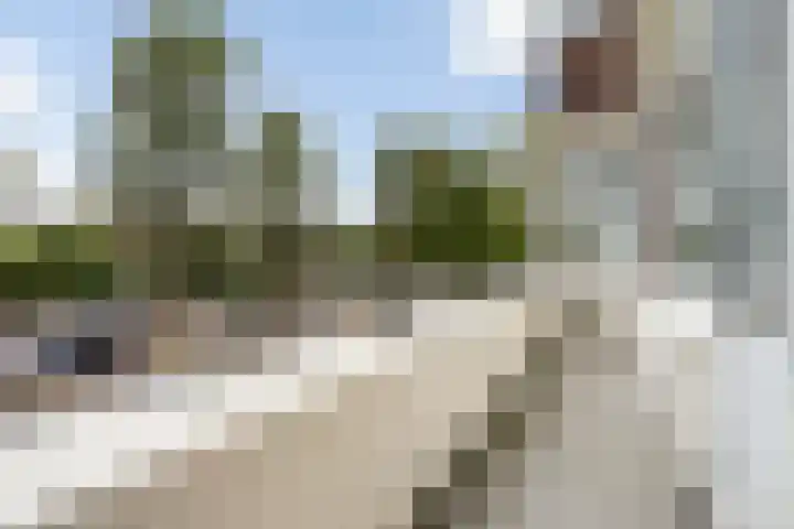 Laan van Meerdervoort 1286 Den Haag thumbnail 26