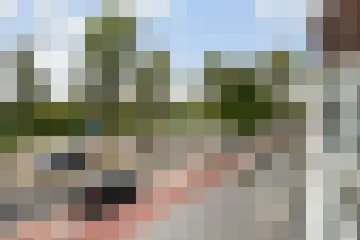 Laan van Meerdervoort 1286 Den Haag thumbnail 27