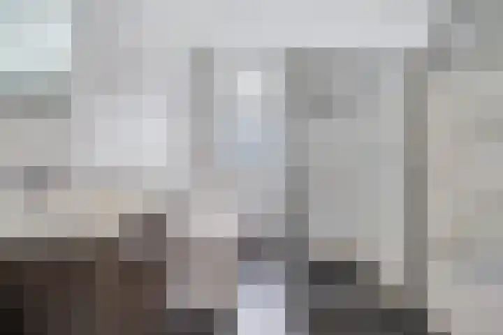 Laan van Meerdervoort 1286 Den Haag thumbnail 30