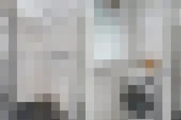 Laan van Meerdervoort 1286 Den Haag thumbnail 31