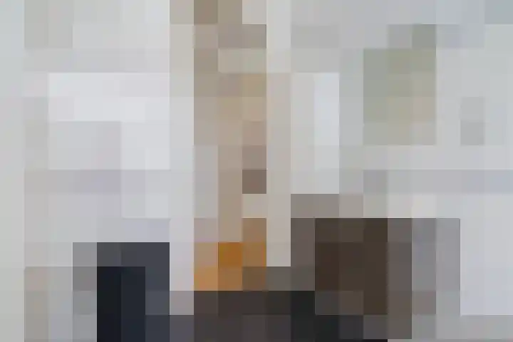 Laan van Meerdervoort 1286 Den Haag thumbnail 32