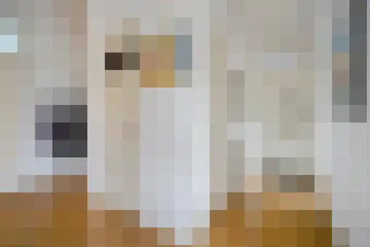 Laan van Meerdervoort 1286 Den Haag thumbnail 33