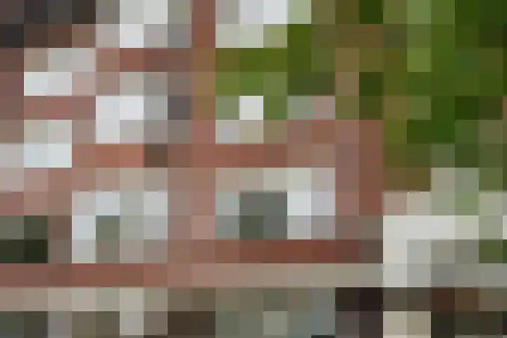 Laan van Meerdervoort 1286 Den Haag thumbnail 36