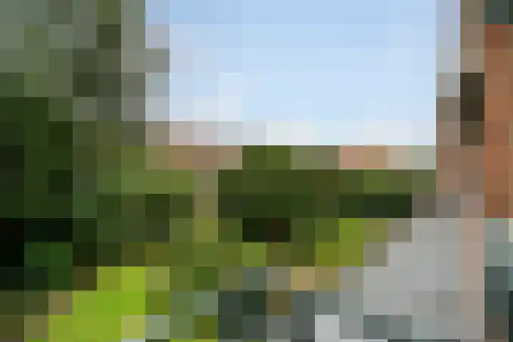 Laan van Meerdervoort 1286 Den Haag thumbnail 4